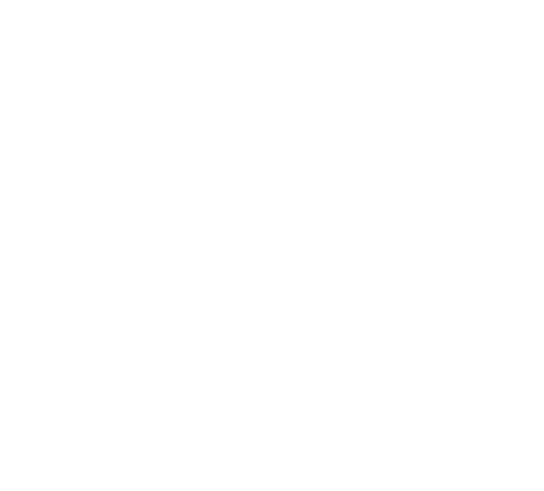 Machine Sentry Software